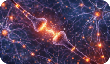 Illustration of a neural synapse connection